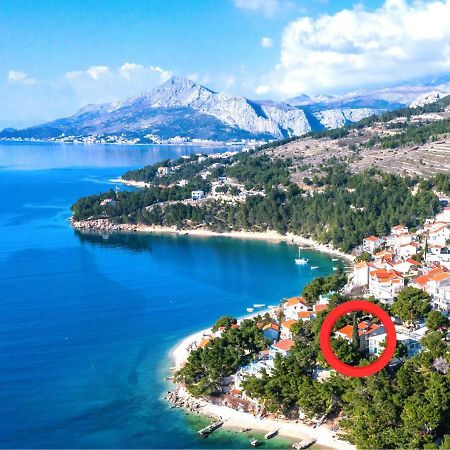 Beach Apartments Borovina Stanici المظهر الخارجي الصورة